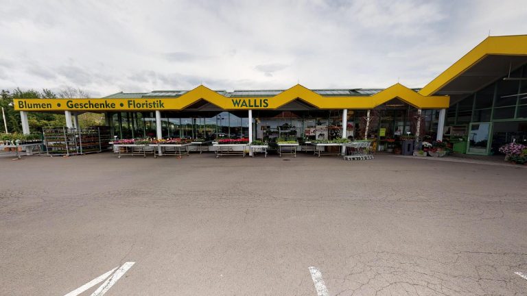 Blumen Wallis Jormannsdorf Blumen Wallis 2 768x432