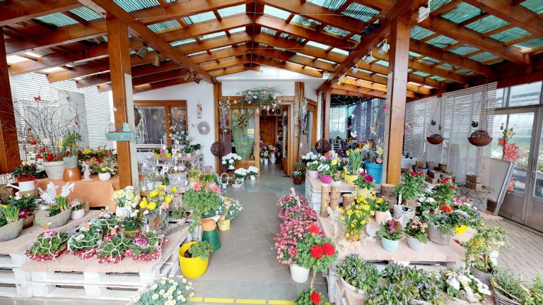 Gartenbau Pomper Gussing Gartenbau Pomper 1 768x432