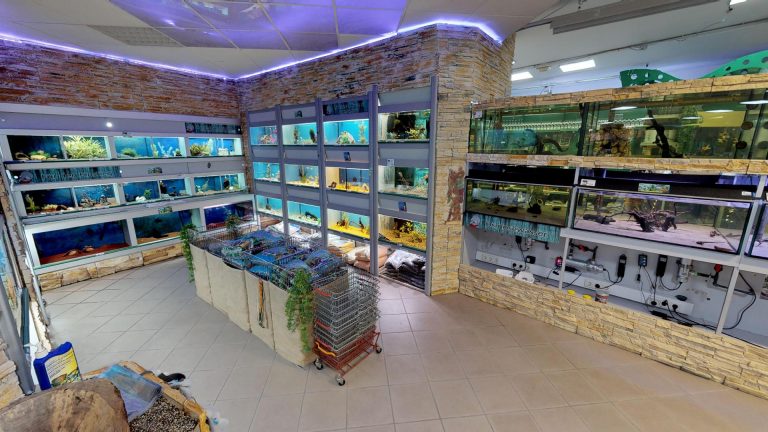 Tropenzentrum Hartberg Tropenzentrum 8 768x432