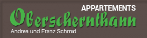 logo schernthann 300x79