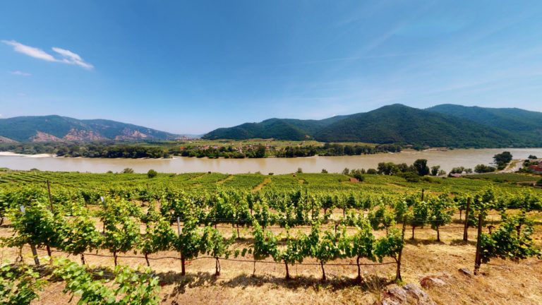 Weingut Gastezimmer ZOTTL 06302021 183840 768x432