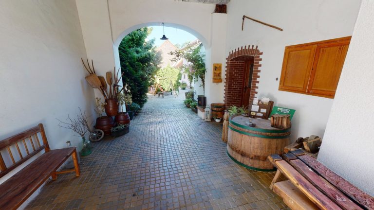 Weingut Pointner 06222021 215437 768x432