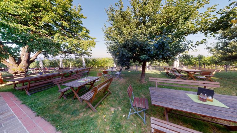 Weinhof Buschenschank Brunner 07122021 174641 768x432