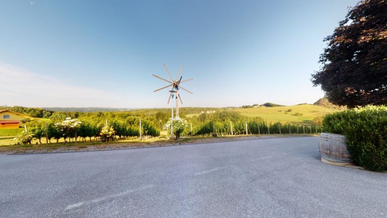 Weinhof der Vielfalt Fam Windisch Rohrer 07052021 163256 768x432