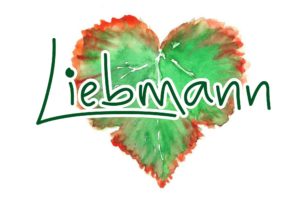 weingut liebmann logo 3d branchen 300x197