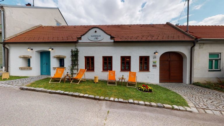 Bio Weinbau Killmeyer 07292021 130901 768x432